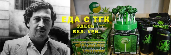 тгк Аркадак