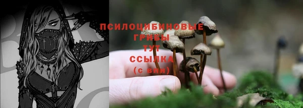 тгк Аркадак