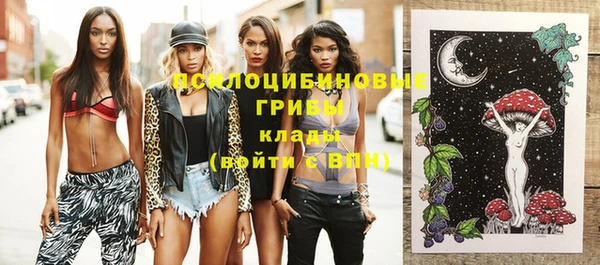 тгк Аркадак