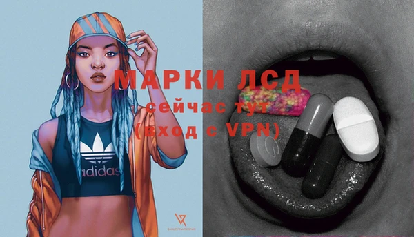спайс Арсеньев