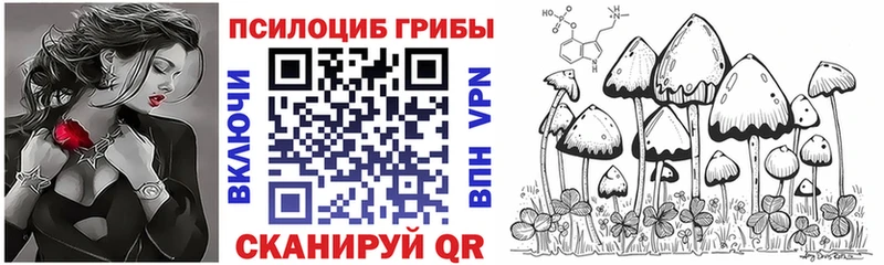 Псилоцибиновые грибы Psilocybine cubensis  Купить закладки  Среднеуральск 